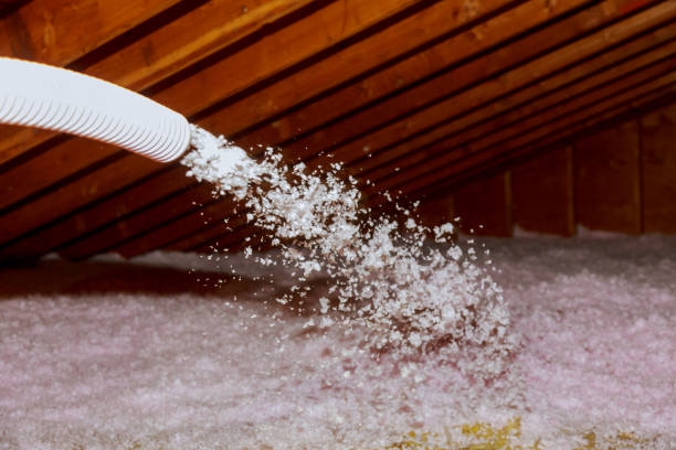 Best Professional Insulation Contractor  in Garden City, MI