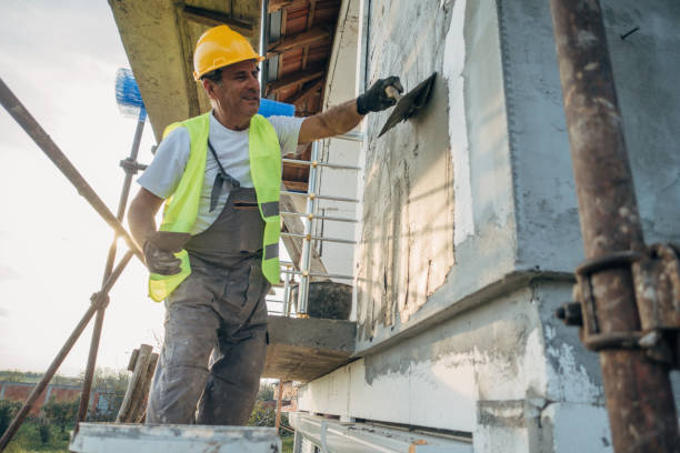 Best Insulation Removal  in Garden City, MI