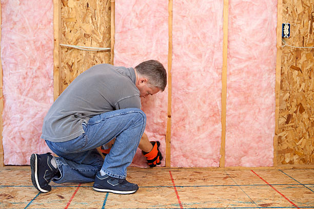 Best Insulation Contractors for Homes  in Garden City, MI