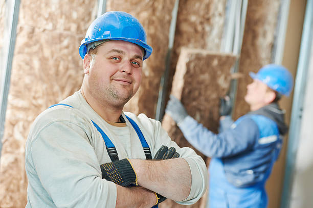 Best Insulation Inspection Services  in Garden City, MI