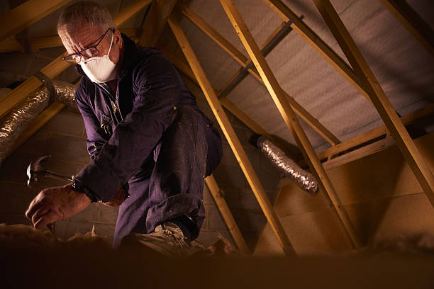 Best Insulation Repair Services  in Garden City, MI